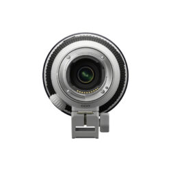 Sony FE 600mm f/6.3 GM OSS (Sony E) - Ảnh 9
