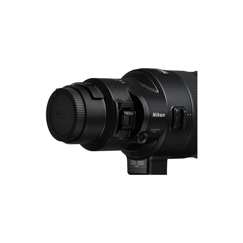 NIKKOR Z 120-300mm f/2.8 TC VR S (Nikon Z) - Ảnh 7