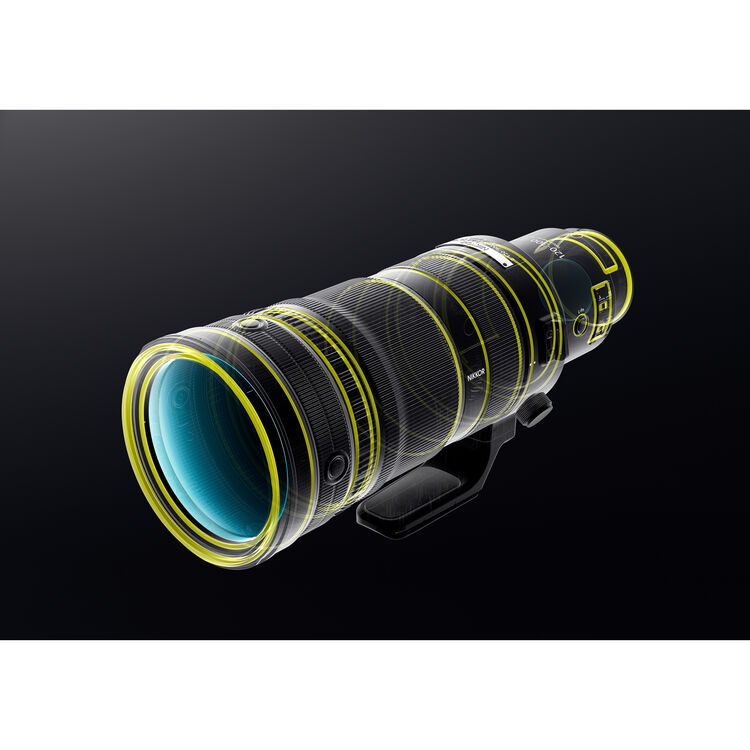 NIKKOR Z 120-300mm f/2.8 TC VR S (Nikon Z) - Ảnh 6