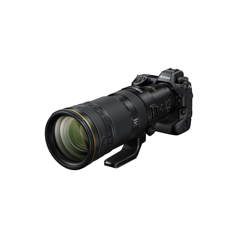 NIKKOR Z 120-300mm f/2.8 TC VR S (Nikon Z) - Ảnh 3