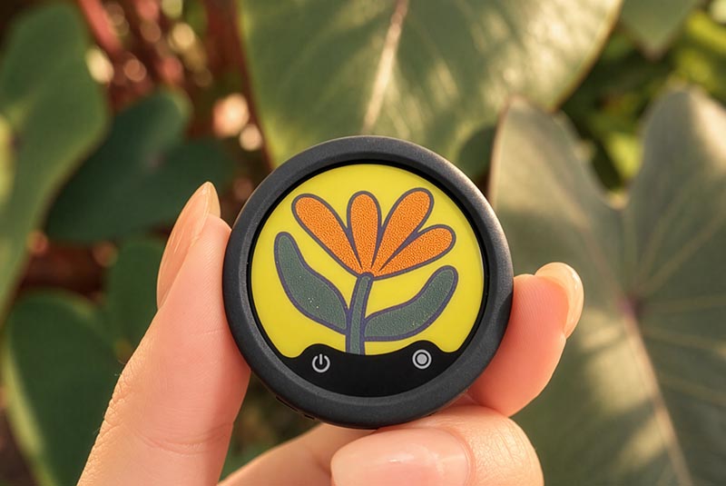 Tổng quan về Insta360 Mic