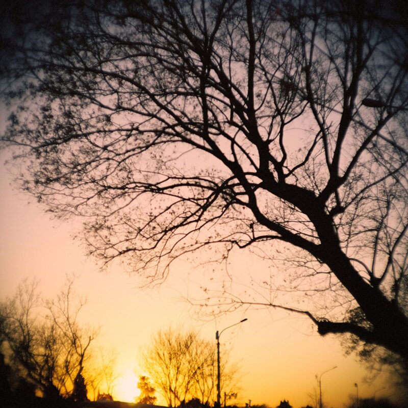 Shoten Tribute 01 — LTM 50mm f/1.1