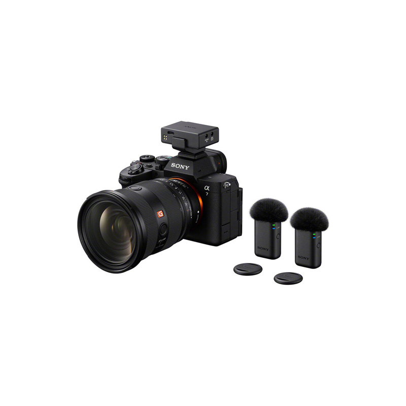 Bộ Micro Sony ECM-W5 - Ảnh 10
