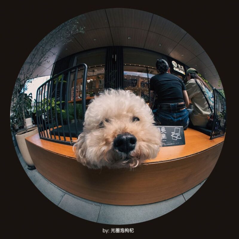 ra mắt AstrHori 8mm f/2.4 Fisheye